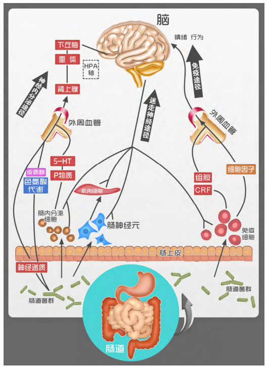 333体育-全网最有氛围的体育赛事直播平台
